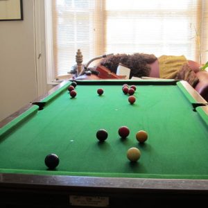 Snooker Table/table