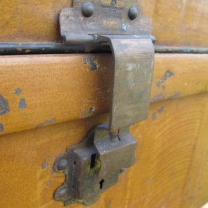 Trunk
