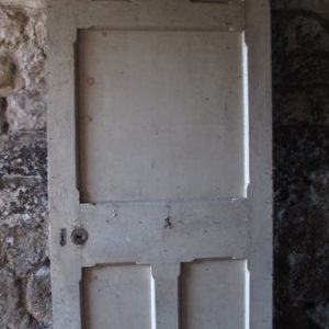 5 Panel Door / 038
