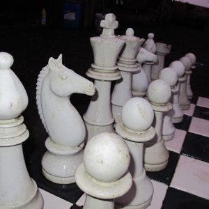 Garden Chess Set