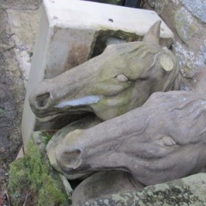 Horses Heads