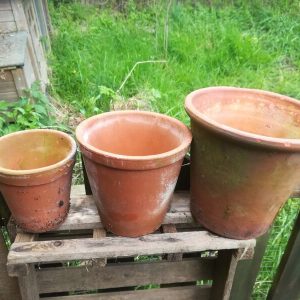 Old Plant Pots