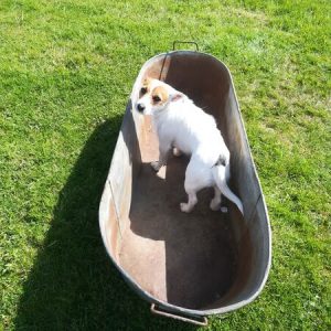 Galvanised Bath Tub