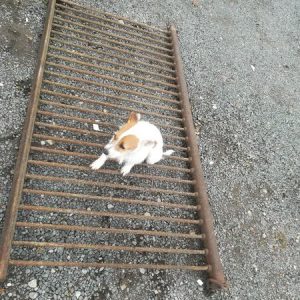 Stable Divider Rails