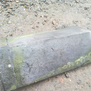 Staffordshire Blue Capped Ridges