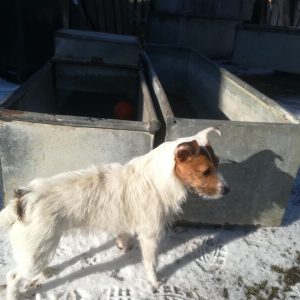 Pair Of 6ft Troughs
