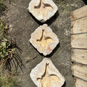 flying duck moulds