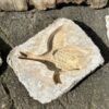 Flying duck plaster moulds