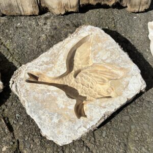 Flying duck plaster moulds